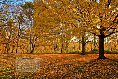 November Images Wallpaper 3.jpg