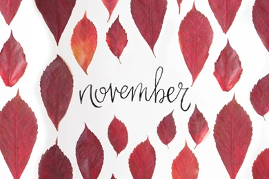 November 2015 Free Calendars And Wallpapers   Red Stamp