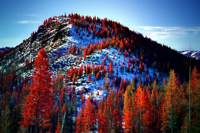 First Snow At Autumn >> HD Wallpaper, Get It Now!