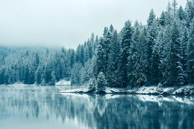 Download Wallpapers First Snow, British Columbia, Canada (1920 X ...