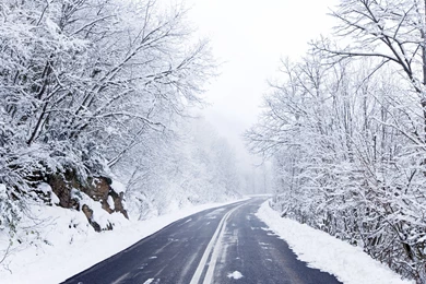 Cold Winter Road Wallpapers   2560x1600   2158693