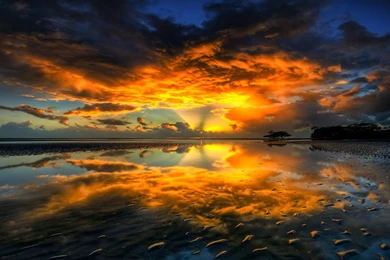 1920x1080px 459.05 KB Magnificent