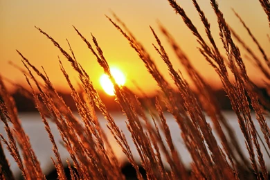 Absolutely Magnificent Sunrise Wallpapers