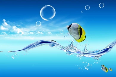 Fish Jumping Out Of The Water HD Desktop Wallpapers : Widescreen ...