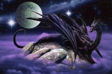 Computer Wallpaper, Purple Dragon