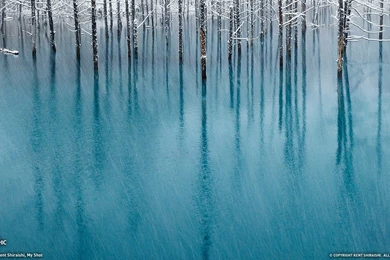 Blue Pond Hokkaido Landscape Photography Theme Wallpapers ...