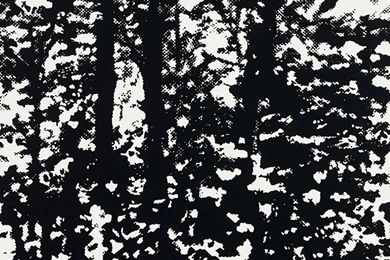 Download Discount Wallpapers Books   F Schumacher Wallpapers ...