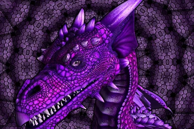 Purple Dragon Pictures All Wallpapers New