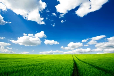 Mobile Desktop Wallpapers   Wallpapers Zone