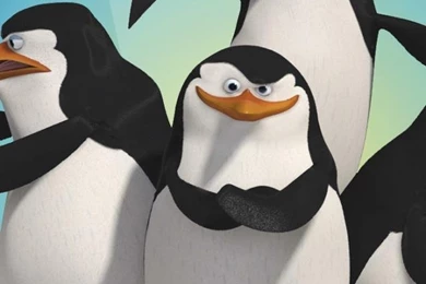 Iphone Mobile Madagascar Animal Backgrounds