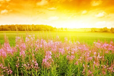 Wallpaper: Free Photography Wallpapers