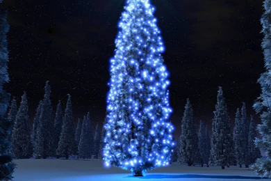 25 Christmas iPad Wallpapers