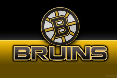 Boston Bruins Wallpapers   Snap! Wallpapers