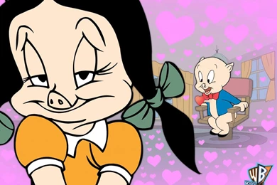 Wallpapers Porky Pig Fondos De Pantalla 1024x768