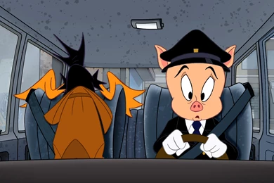 7 Porky Pig HD Wallpapers