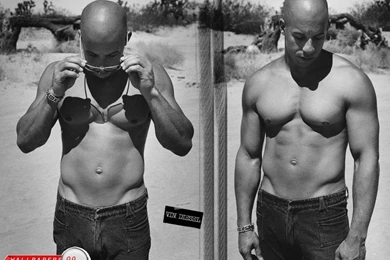 Vin Diesel Wallpapers Picture Image 1024x768 18440