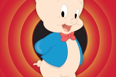 Top Pig Bunny Wallpapers Wallpapers