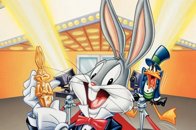 Porky Pig   Looney Tunes Wallpapers