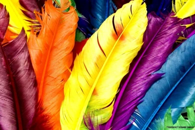 Hd Desktop Wallpapers 1366X768 Resolution