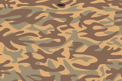 Alfa Img   Showing > Desert Camo Wallpapers