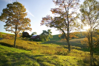 Nature Beautiful Photography Part I Photo   BestePics