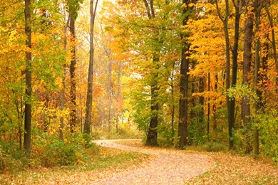 The Bike Trail – Geneva State Park, Ohio Widescreen Wallpapers ...