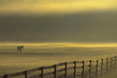 Download Ohio Cleveland Wallpapers 1600x1200