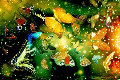 Computer Wallpapers By Becky Smith On FL