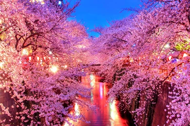 Spring Wallpapers   HDWPlan