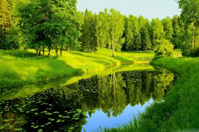 Spring Wallpapers Android Apps On Google Play