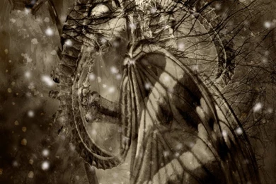 The Bone Collector By AlejandroDMarco On DeviantArt