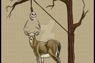 Bonecollector   DeviantArt