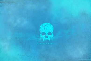 Wallpapers Hackers Hacking Frozen Coder 1280x800