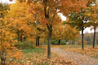 Desktop Wallpapers Full Screen   Wallpapers High Definition