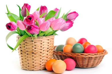 Easter White Backgrounds Easter Tulips Eggs Wallpapers
