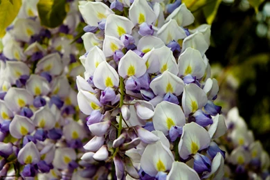 Spring Desktop Wallpapers Pack, 27 Images!