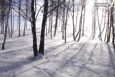 Winter Hd Images   Photo 57 Of 331