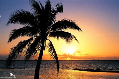 Beach And Sunsets Backgrounds   Twitter & Myspace Backgrounds