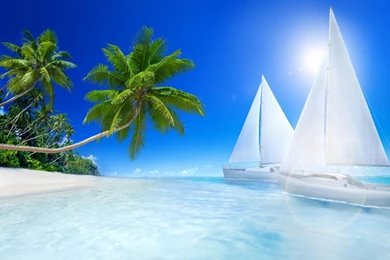 Summer Beach Wallpapers   Android Apps On Google Play