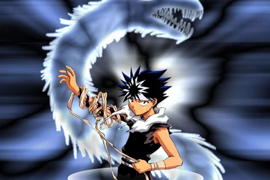 Motivational Quotes Hiei Anime. QuotesGram