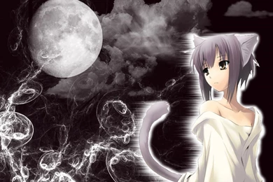 Anime Neko Wallpapers   Wallpapers Zone