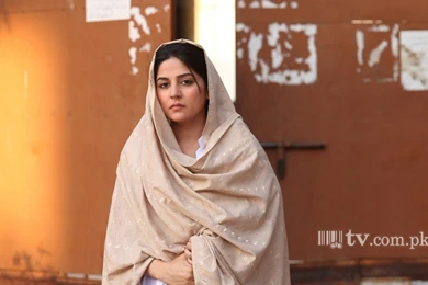 Sanam Baloch Wallpapers