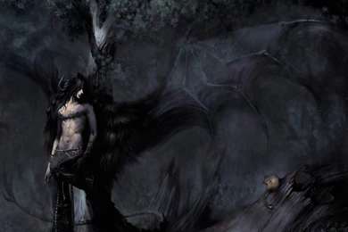 Dark Angel, Cat, Fantasy, 1920x1080 HD Wallpapers And FREE Stock Photo