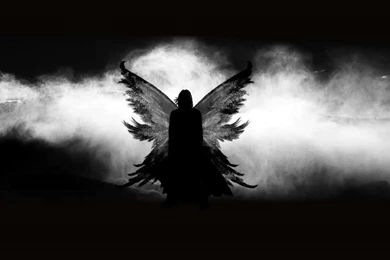 1280x1024px Dark Angel