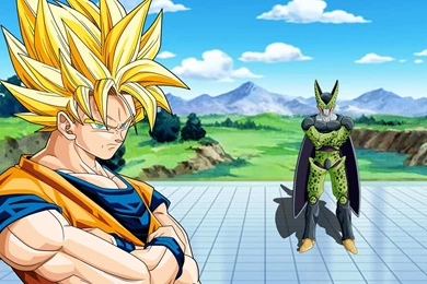 HD Battle Goku Vs Cell Wallpapers HD Full Size   HiReWallpapers 896