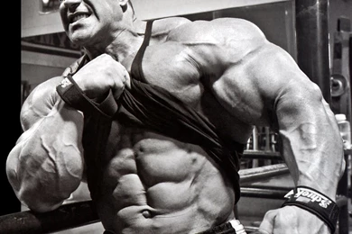 Best Wallpapers: Bodybuilders Wallpapers