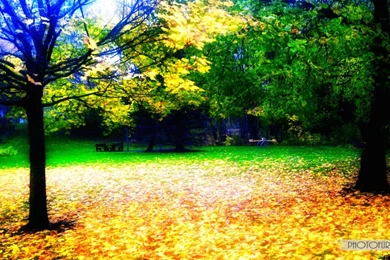 Nature Wallpapers Download K6N8H   HD Wallpapers Desktop Backgrounds