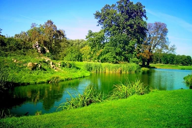 Nature   Best Free Wallpapers