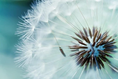 Galaxy S4 Wallpapers HD   Android Apps And Tests   AndroidPIT