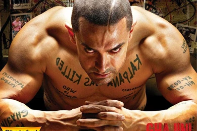 Wallpapers Bodybuilders Bodybuilder Hd Ptax Dyndns Org 1024x768 ...